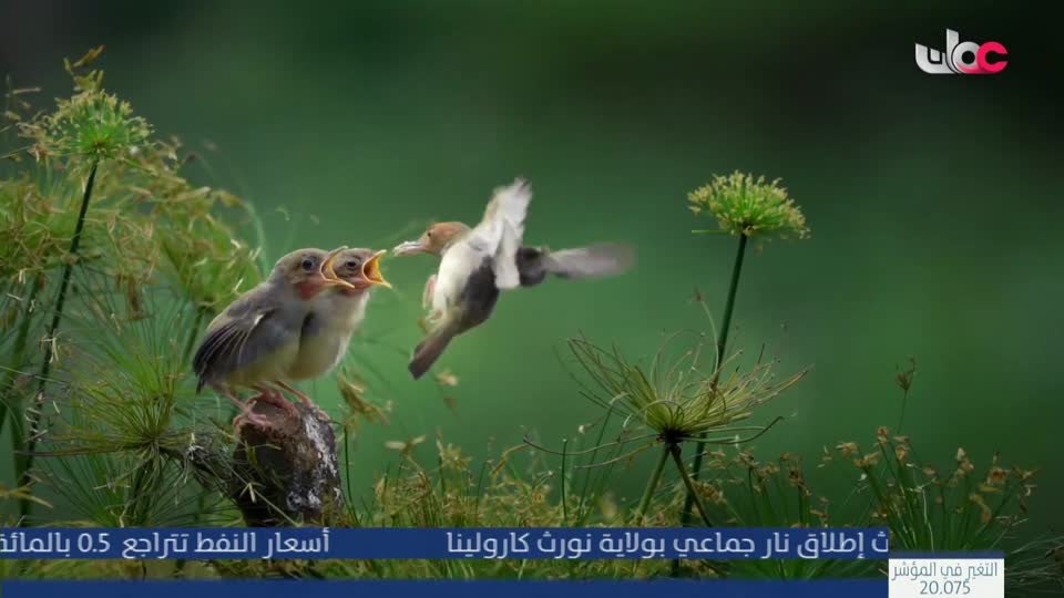 اذان الظهر