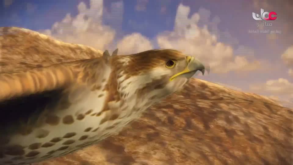 المسلسل الورقي - قرية الخراف