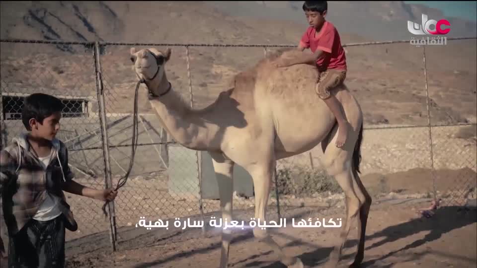 البرنامج الثقافي - لغتناهويتنا - الحلقة 9