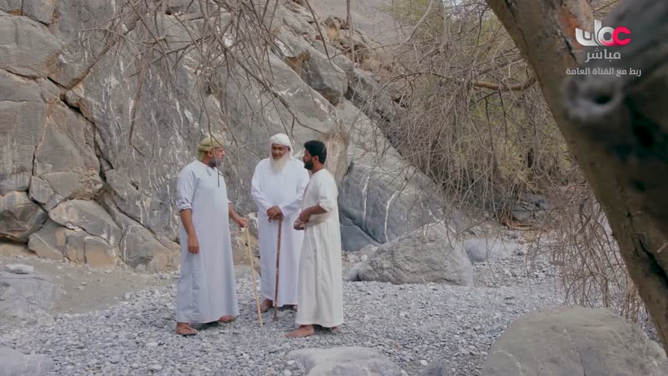 ورود ملونة