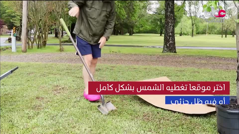 البرنامج الثقافي - عالم الأشجار