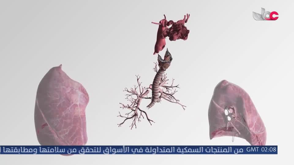 برنامج - اسرار الجسد - الحلقة 4