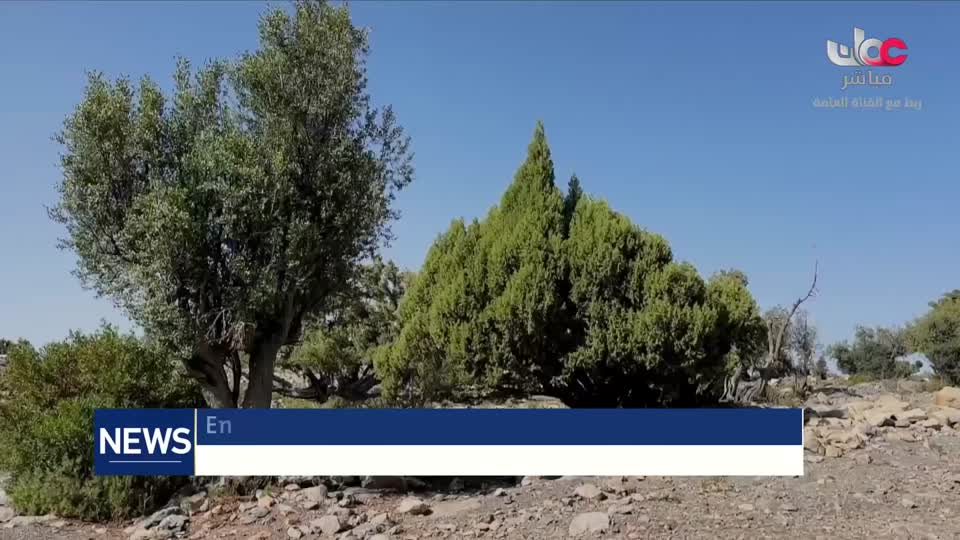 نشرة الأخبار باللغة الإنجليزية