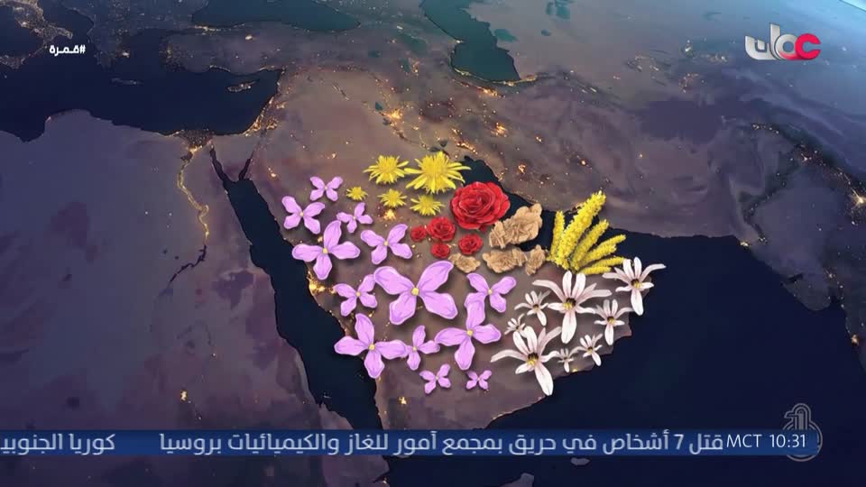 برنامج الأطفال قمرة 2026 - الحلقة 41