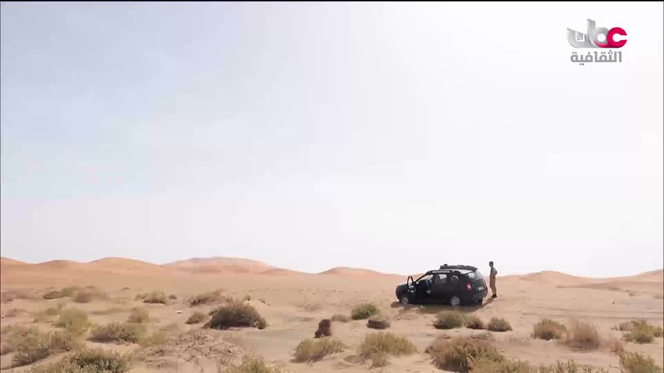 البرنامج الثقافي - ذاكرة وطن - الحلقة 12