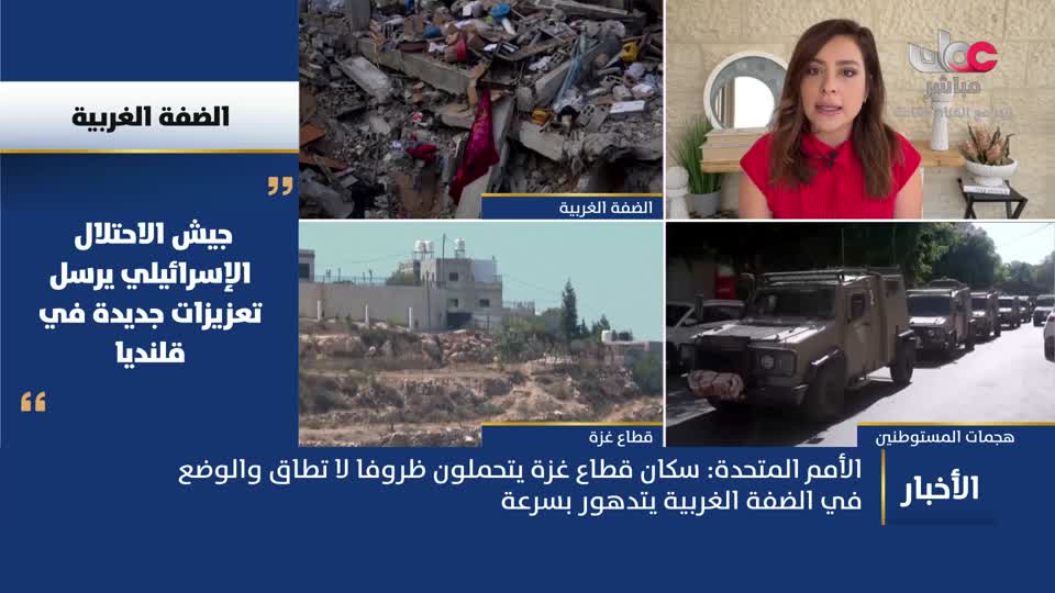 نشرة أخبار الحادية عشر