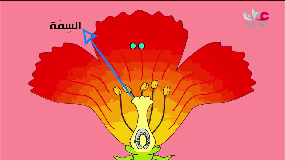 البرنامج الثقافي - المناخ والطبيعة - الحلقة 21