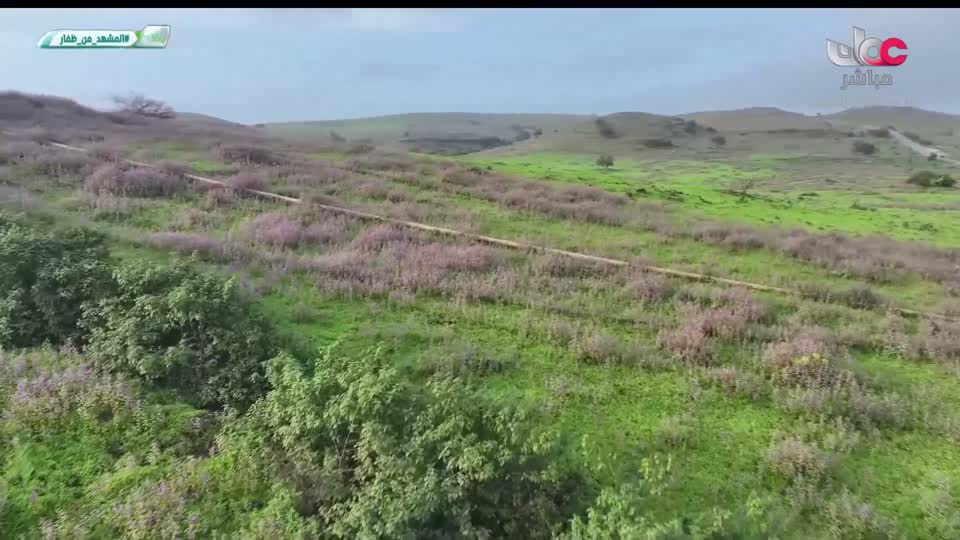 المسلسل المصري - على قد الحب