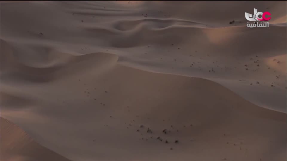 البرنامج الثقافي داخل الأشياء