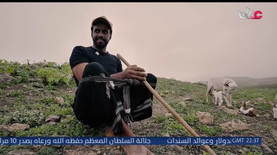 المسلسل العربي ليالي روكسي