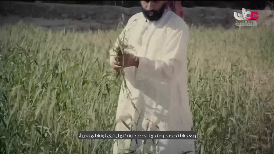 برنامج افريقيا قارة المستقبل