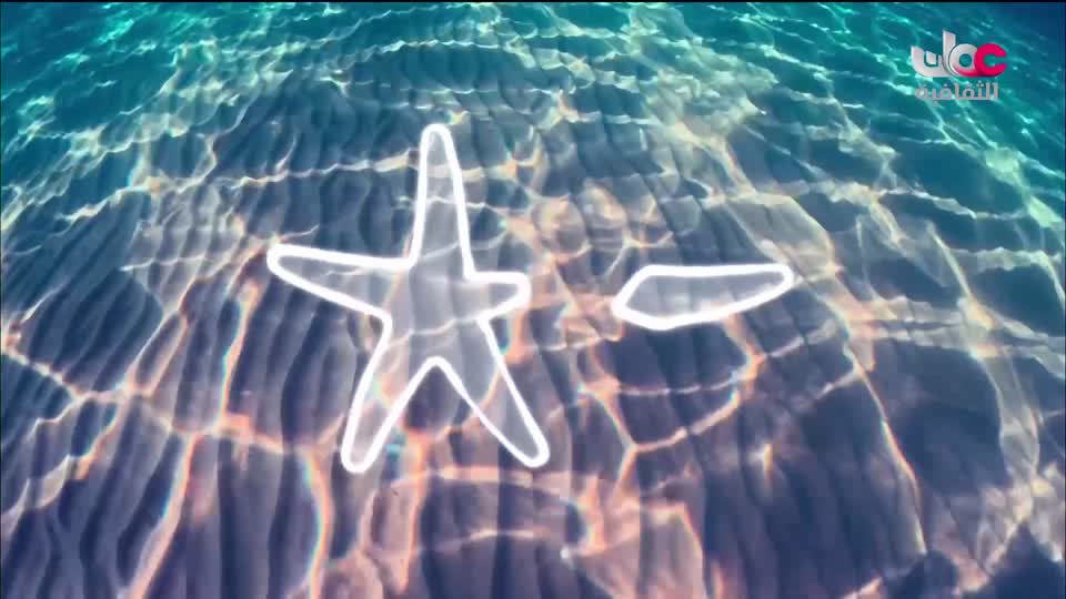 البرنامج الثقافي - أسرار المحيط