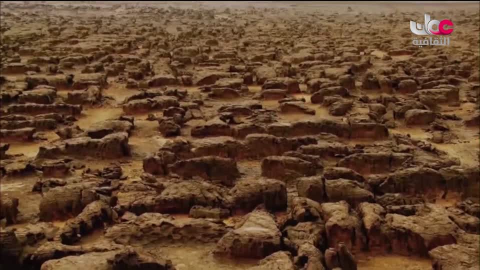 فيلم - فن المنمنمات الجزائري