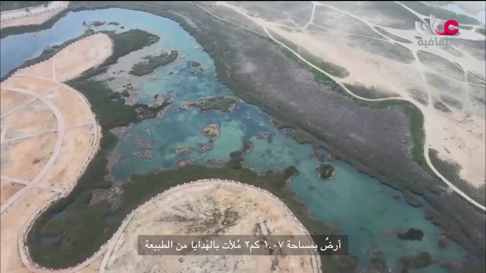 سماوات + آخر صفحة