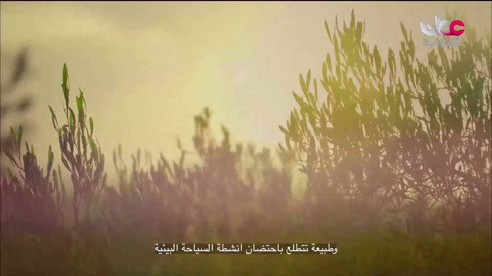 سماوات + آخر صفحة