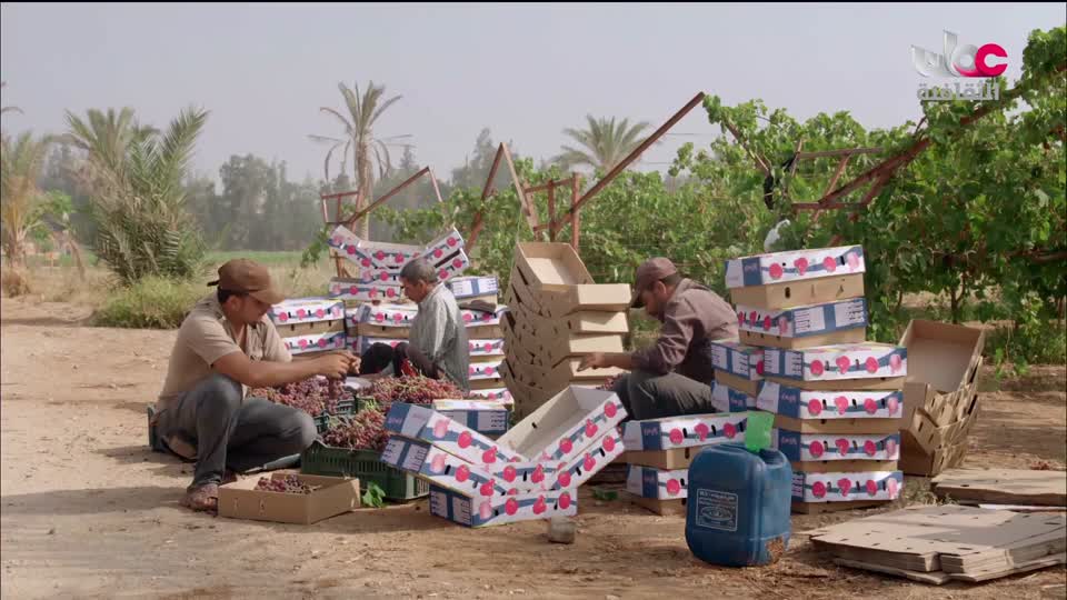 الزراعة من اجل الكوكب