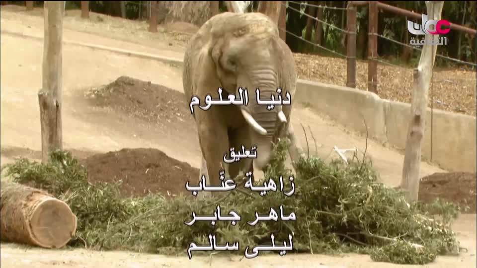 البرنامج الثقافي داخل الأشياء
