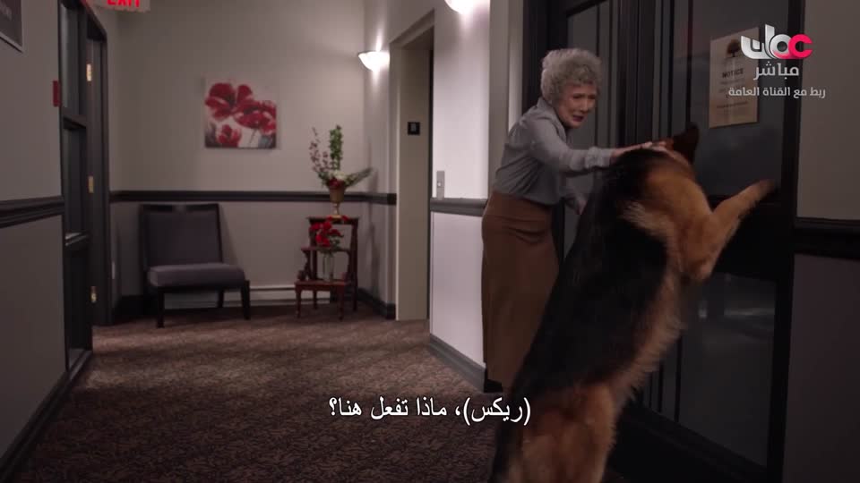 HUDSON AND REX - المسلسل الاجنبي