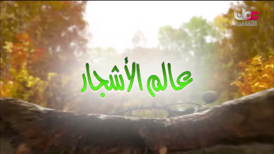 البرنامج الثقافي - عالم الأشجار