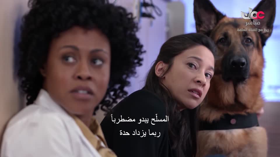 HUDSON AND REX - المسلسل الاجنبي