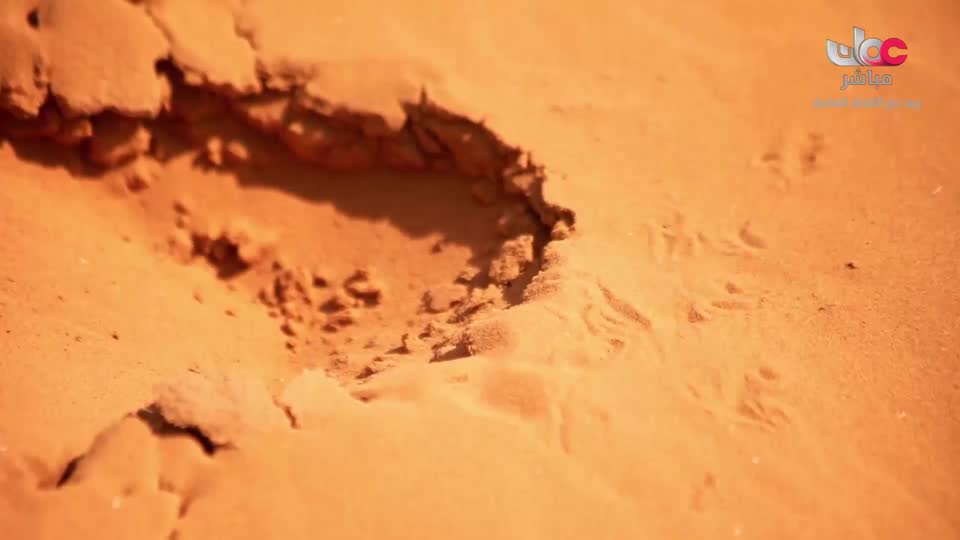 البحث عن المعرفة