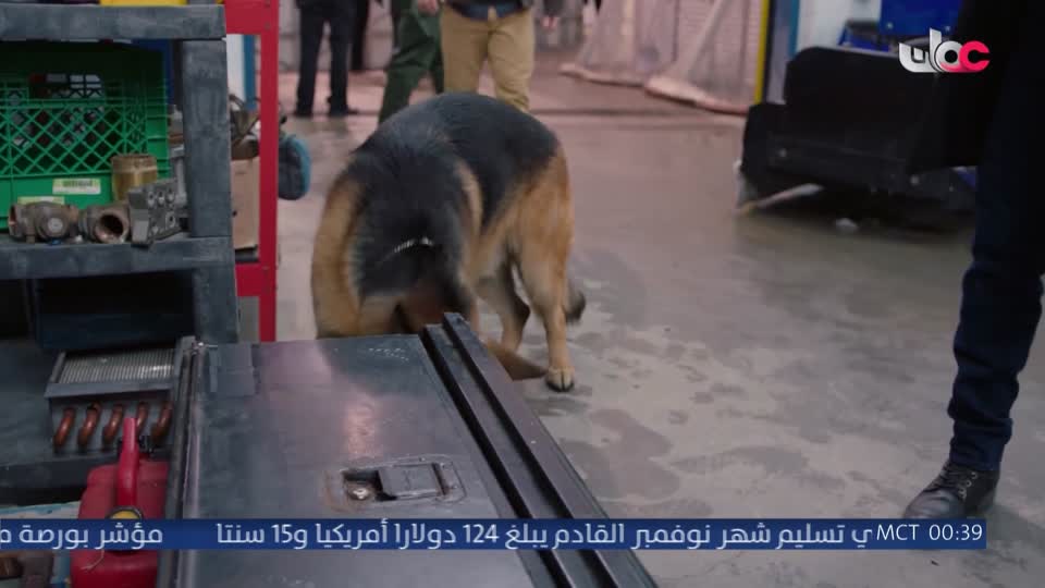 HUDSON AND REX - المسلسل الاجنبي