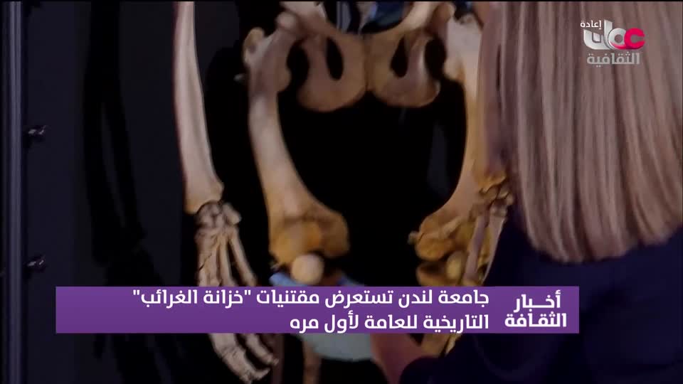 لوحات من العالم - الحلقة 49