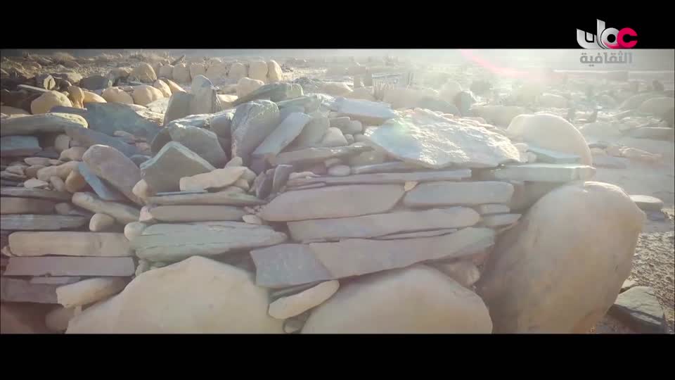 البرنامج الثقافي داخل الأشياء