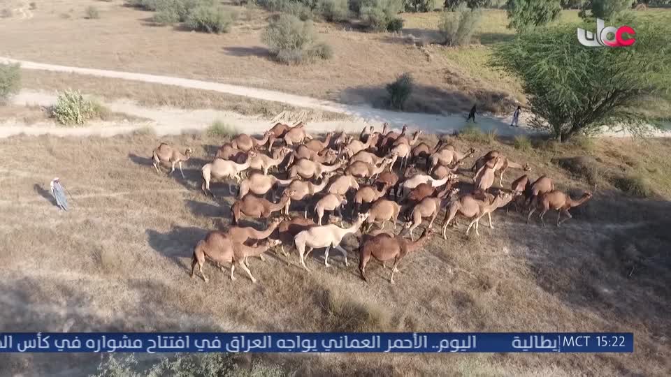 برنامج - خير يبقى
