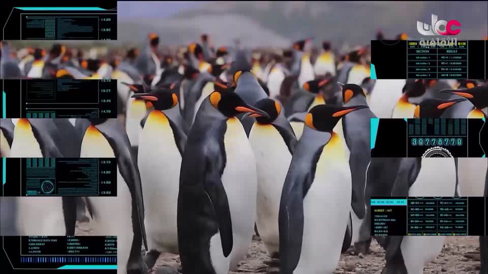 البرنامج الثقافي - أسرار المحيط