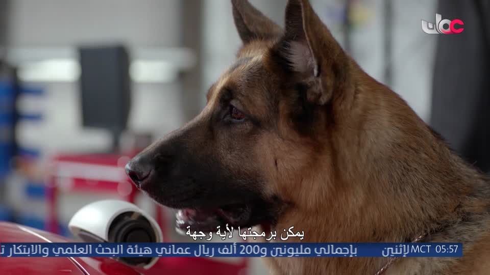 HUDSON AND REX - المسلسل الاجنبي