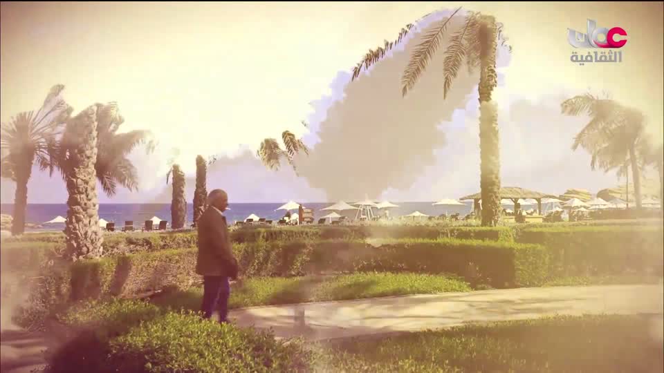 برنامج محلي - ضفاف