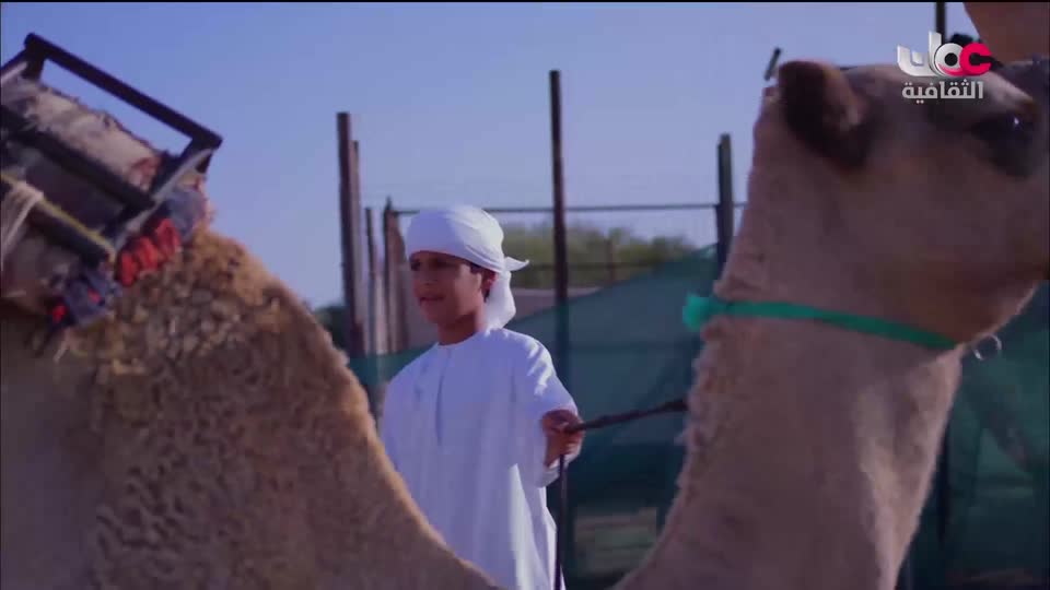 البرنامج الثقافي الدلتا في العالم - الحلقة 8
