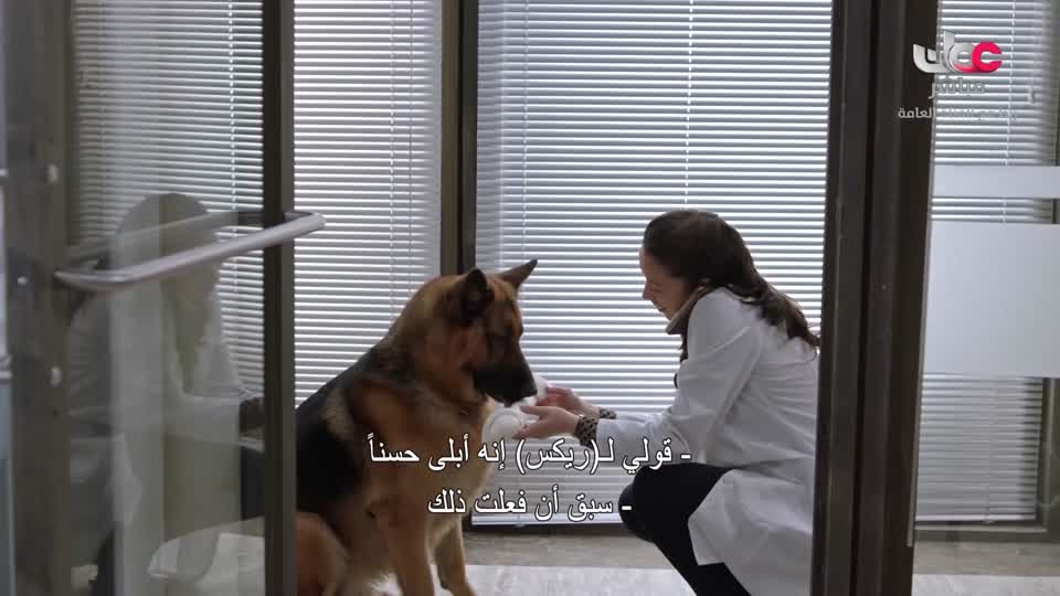 HUDSON AND REX - المسلسل الاجنبي