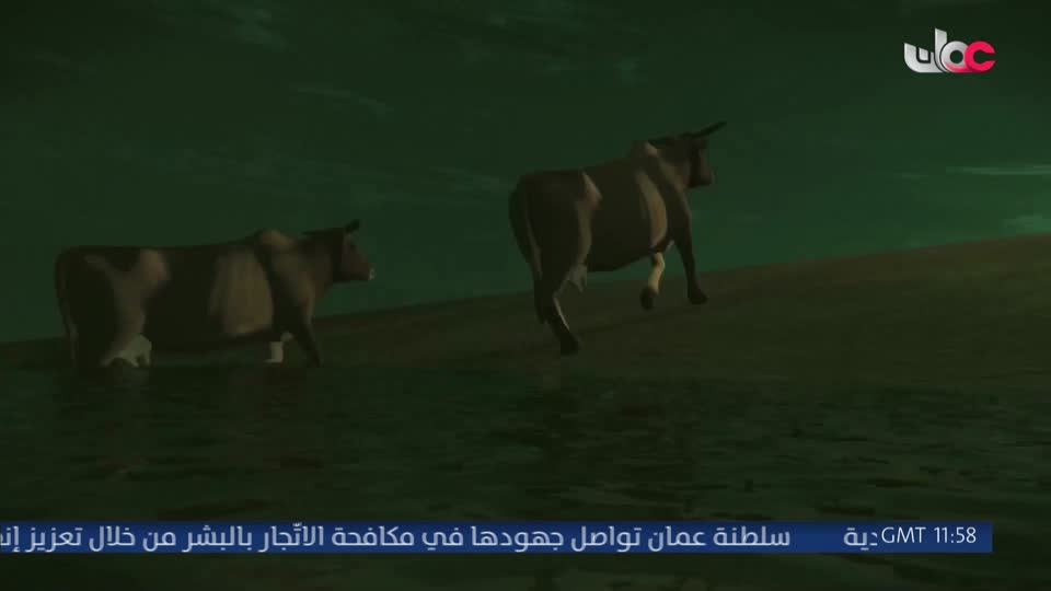 مسلسل الاطفال - فريق البحيرة الخضراء - الحلقة 104