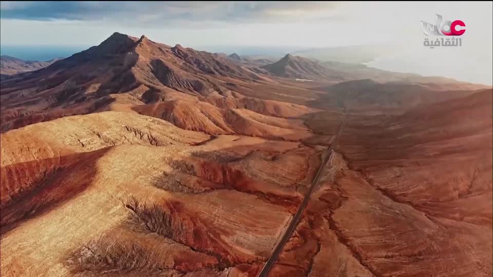 برنامج - فيتامينات