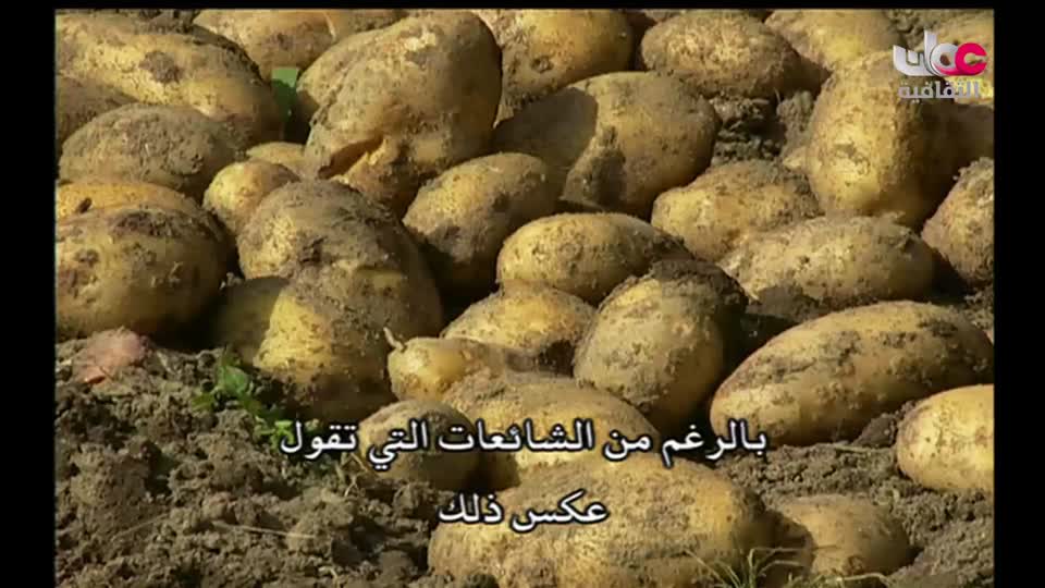بحيرات وجبال - الحلقة 14