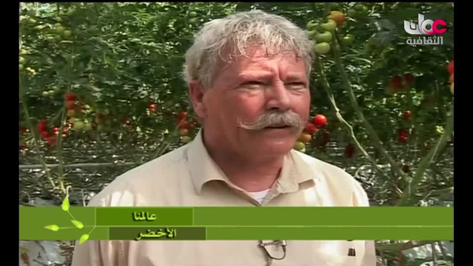 برنامج - فيتامينات