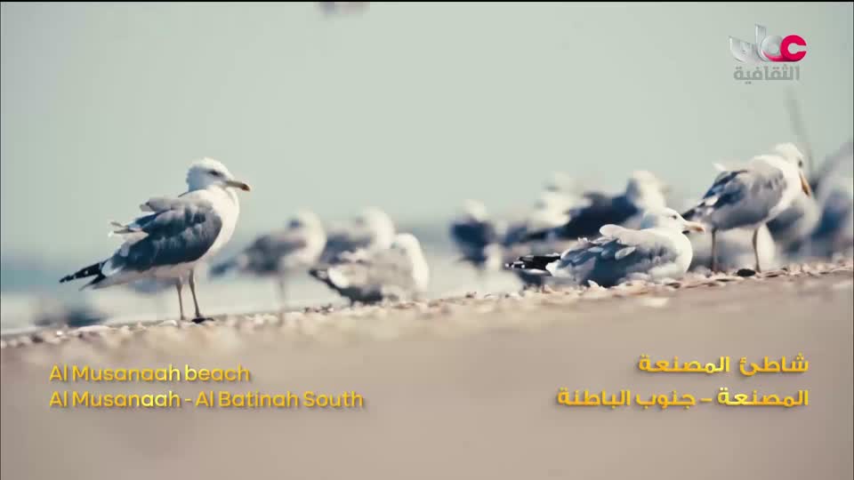برنامج افريقيا قارة المستقبل