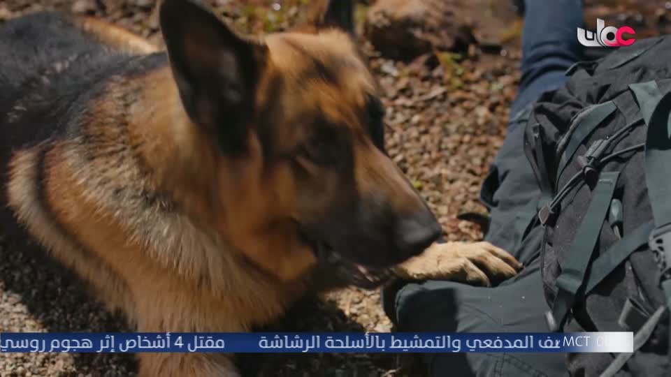 HUDSON AND REX - المسلسل الاجنبي
