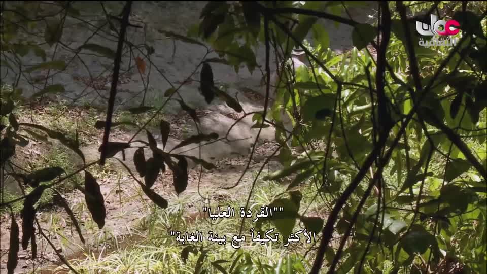 سبحانك ربي - الحلقة 15