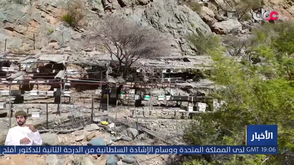 أفنان
