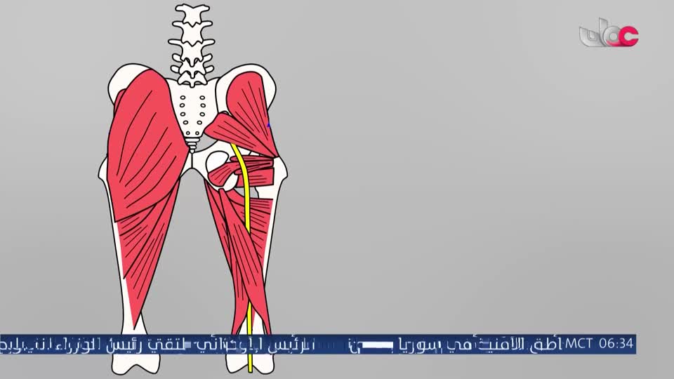 المسلسل المصري - درش - الحلقة 16