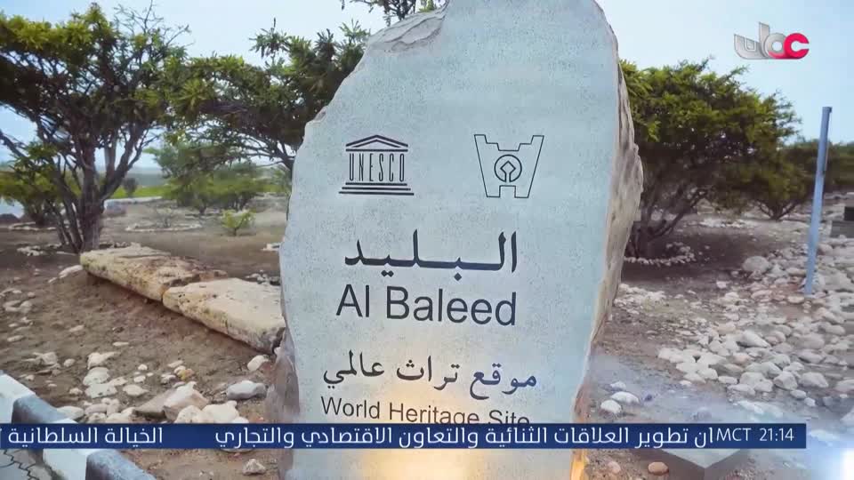 برنامج/متون
