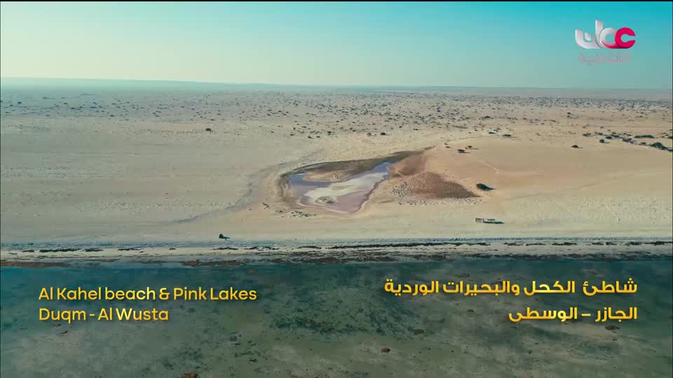 البرنامج الثقافي - حيوانات غيرت مجرى التاريخ
