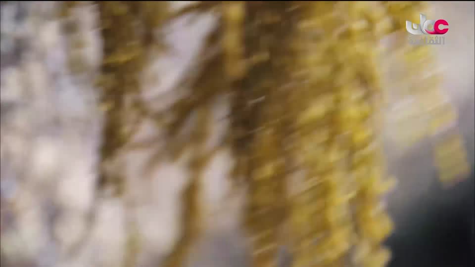 الزراعة من اجل الكوكب
