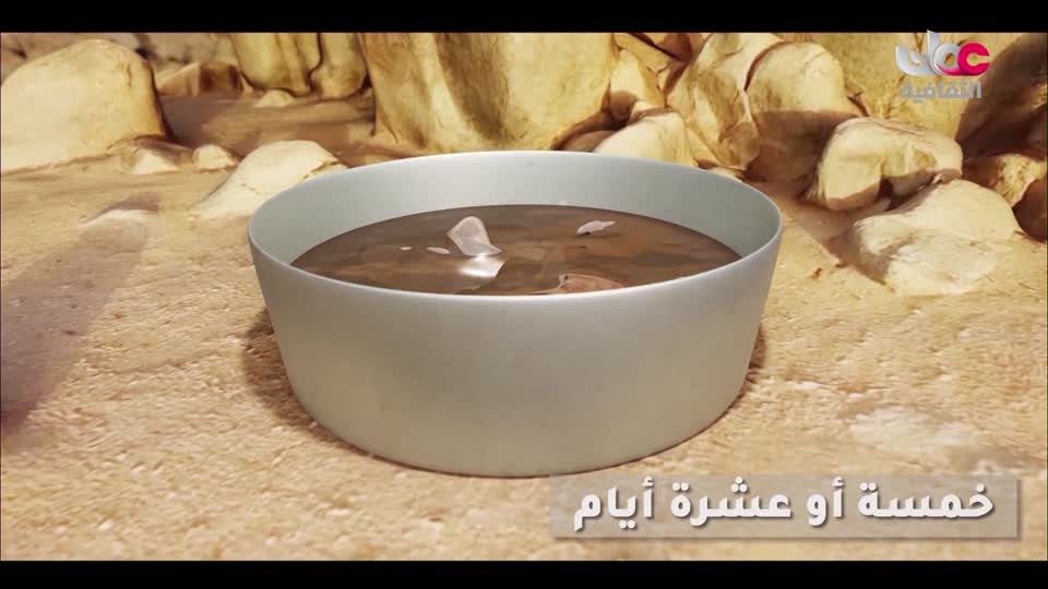 البرنامج الثقافي - أبجديات ثقافية - الحلقة 4