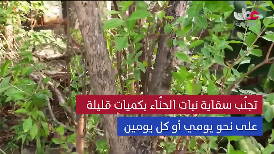 برنامج ثقافي - سلسلة ابحاث علمية - الحلقة 2