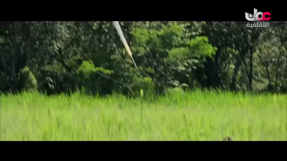 البرنامج الوثائقي - عالم الأفلام - الحلقة 22