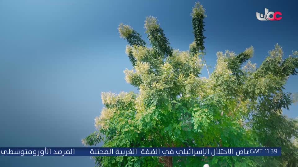 مسلسل كرتوني - نساء حول الأنبياء
